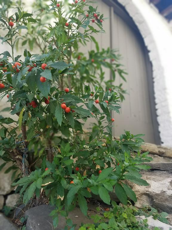 Lori'S Traditional House Gjirokastër Exteriör bild